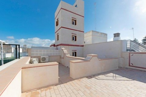 Apartment for sale in Cadiz, Spain 3 bedrooms, 142 sq.m. No. 60962 - photo 1