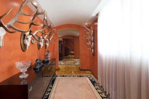 Apartment for sale in Jerez de la Frontera, Cadiz, Spain 4 bedrooms, 371.15 sq.m. No. 61015 - photo 19