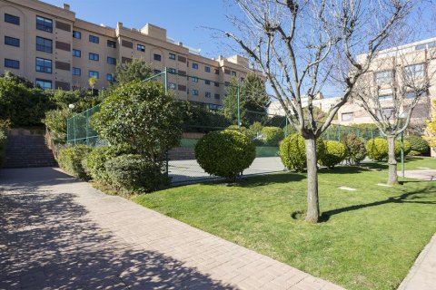 Apartment for rent in Madrid, Spain 3 bedrooms, 180 sq.m. No. 61695 - photo 19