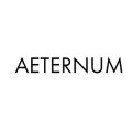 AETERNUM Smart Development