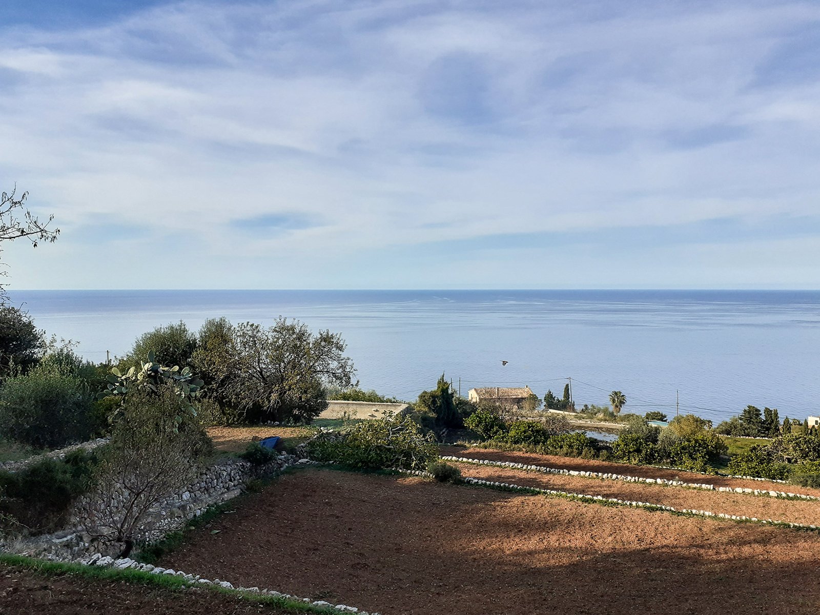 Finca in Banyalbufar, Mallorca, Spanien 4 Schlafzimmer, 290 m2 Nr. 32599