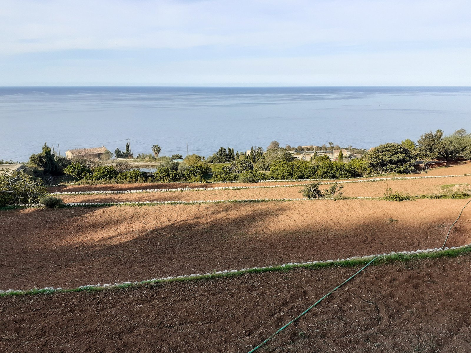 Finca in Banyalbufar, Mallorca, Spanien 4 Schlafzimmer, 290 m2 Nr. 32599