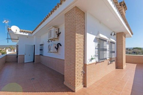 Villa for sale in El Santiscal, Cadiz, Spain 5 bedrooms, 571 sq.m. No. 62047 - photo 13