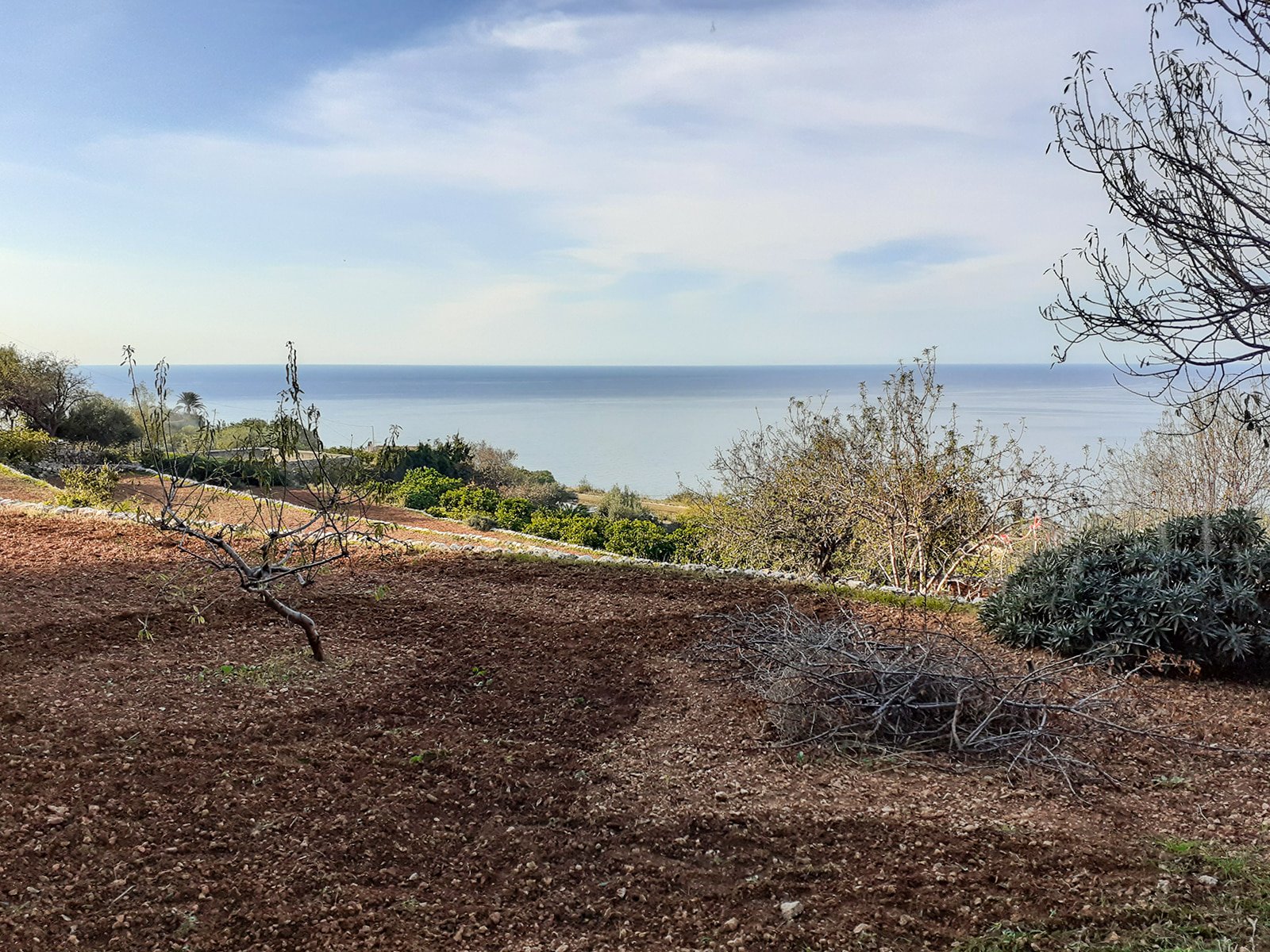 Finca in Banyalbufar, Mallorca, Spanien 4 Schlafzimmer, 290 m2 Nr. 32599